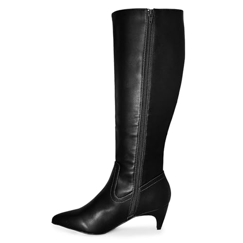 Fashion Kitten Heel Pointed Toe Knee High Boots