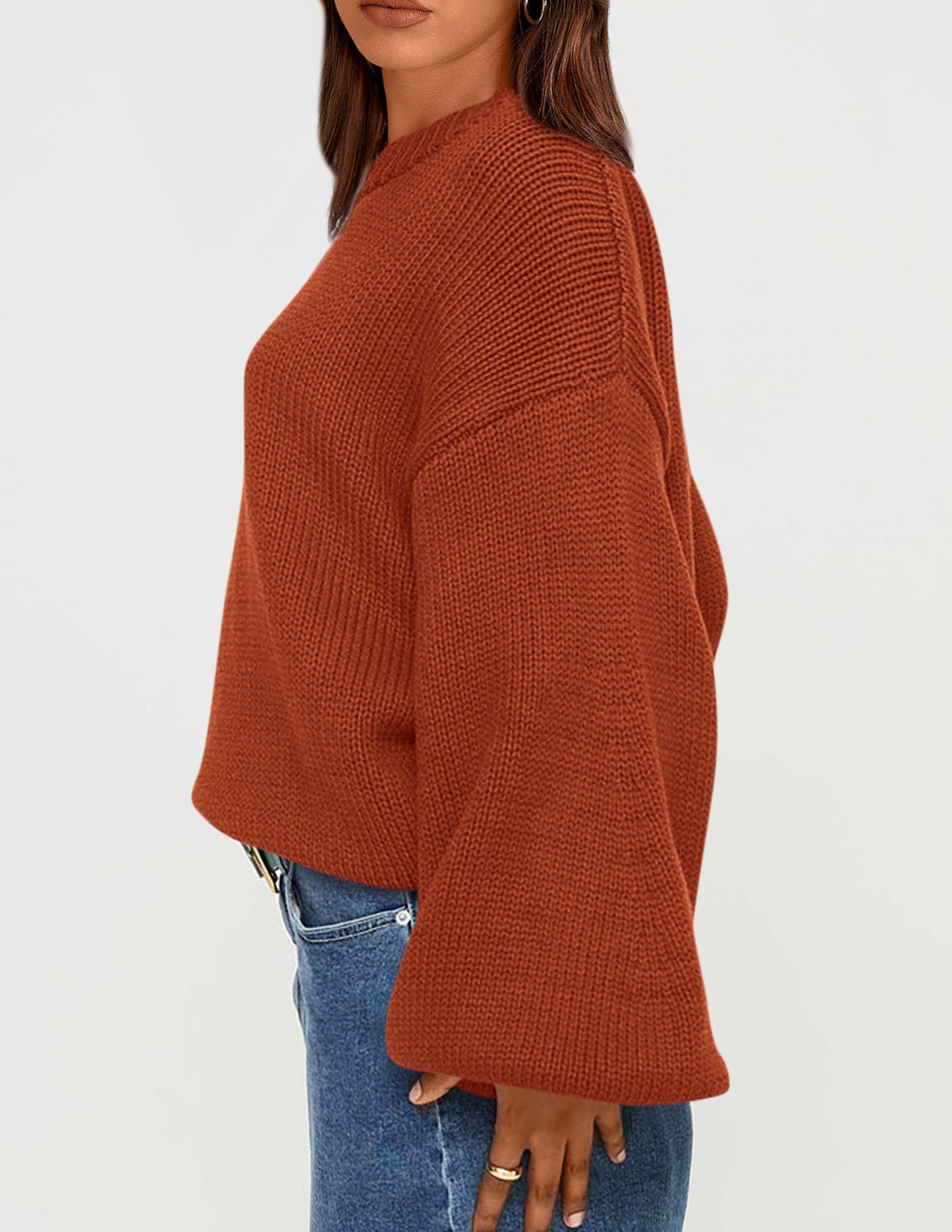 Chunky Knit Sweater Long Lantern Sleeve Crewneck Pullover