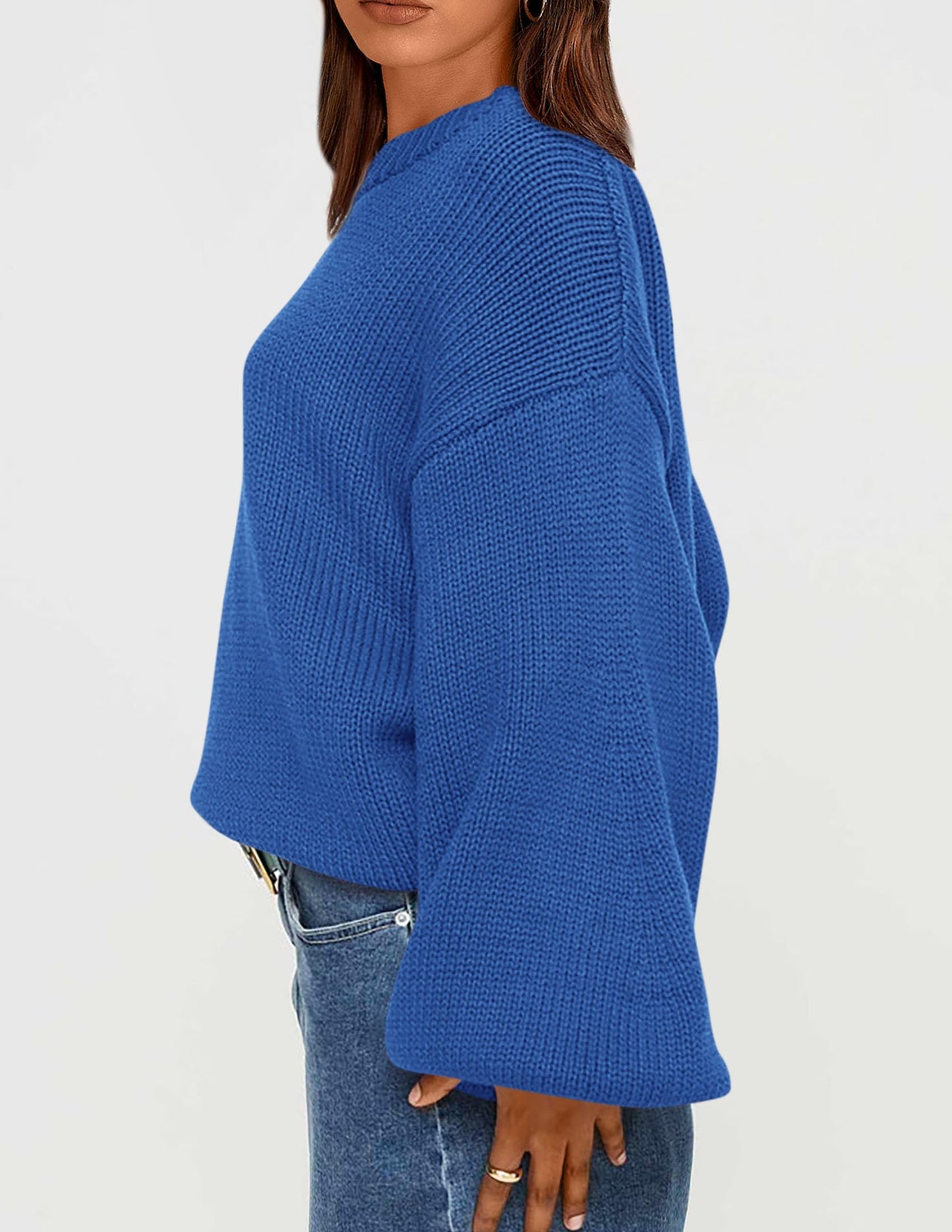 Chunky Knit Sweater Long Lantern Sleeve Crewneck Pullover