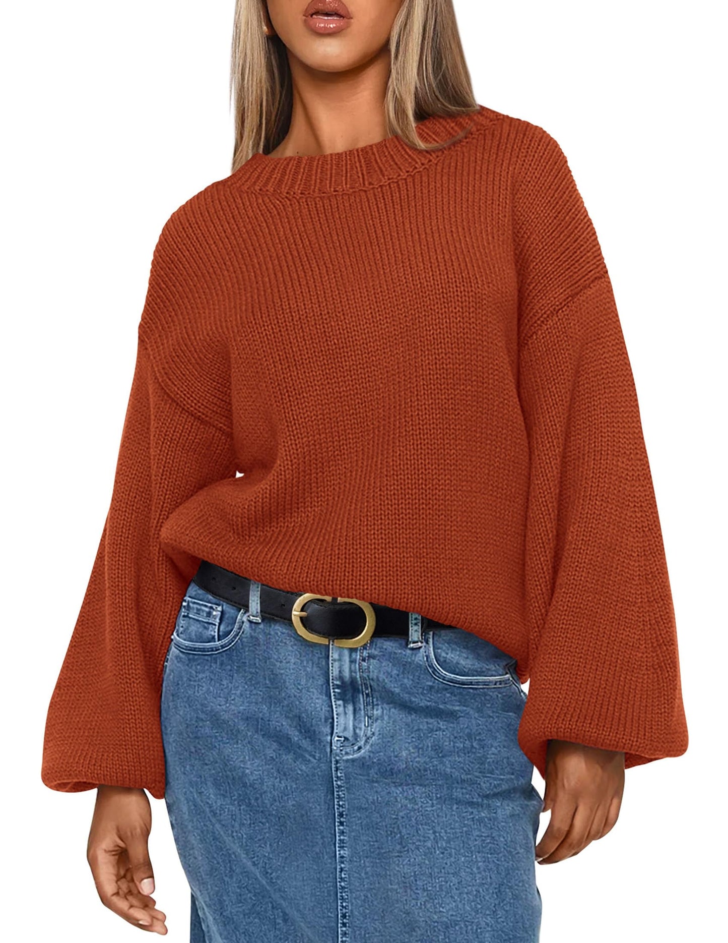 Chunky Knit Sweater Long Lantern Sleeve Crewneck Pullover