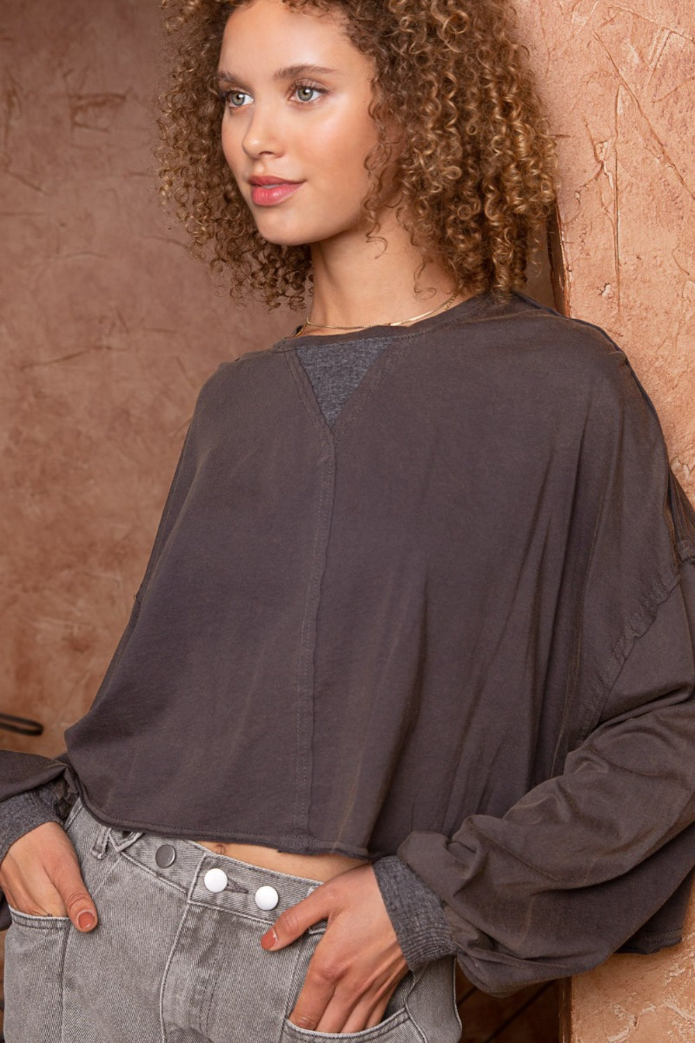 Cropped Long Sleeve Top